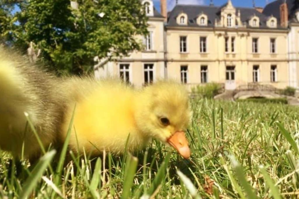 Maison A Colombages Pres De Deauville, Trouville Formentin Bagian luar foto