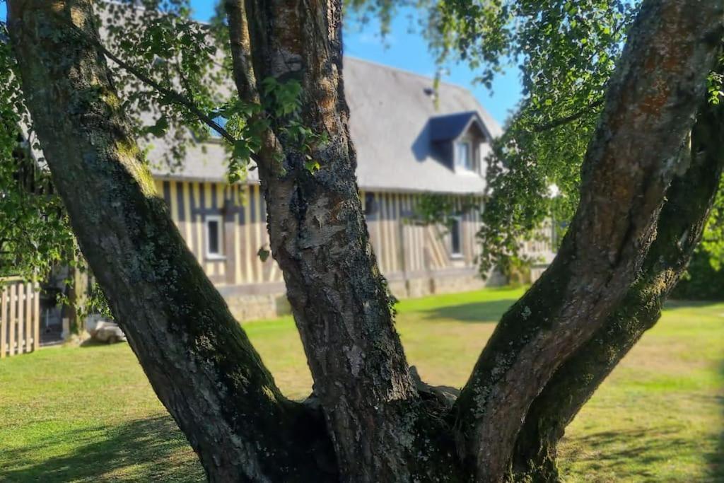 Maison A Colombages Pres De Deauville, Trouville Formentin Bagian luar foto